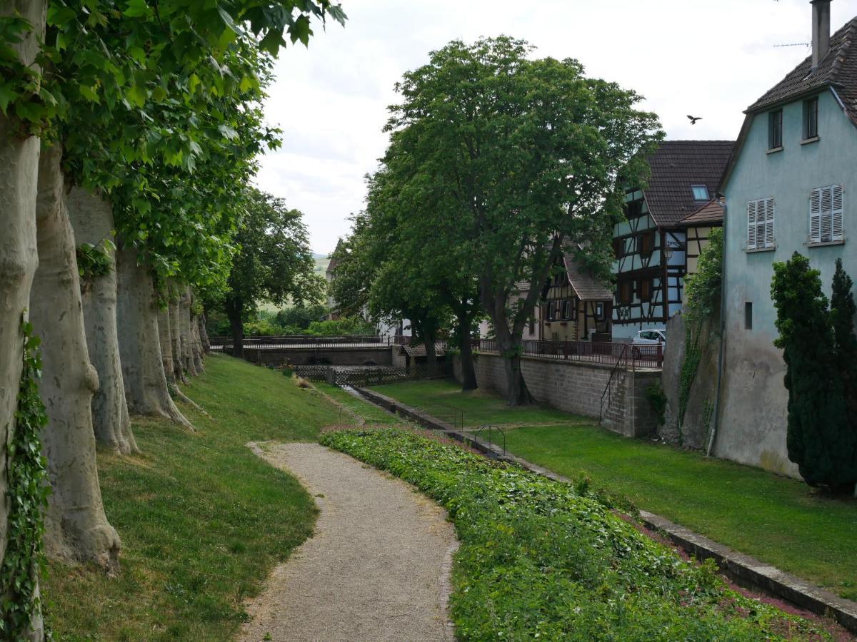 La Cour St-Fulrad - Les Suites Saint-Hippolyte  Zewnętrze zdjęcie
